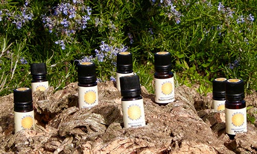 Autres Huiles Essentielles